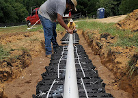 Contact a professional plumber or sewage cleanup service