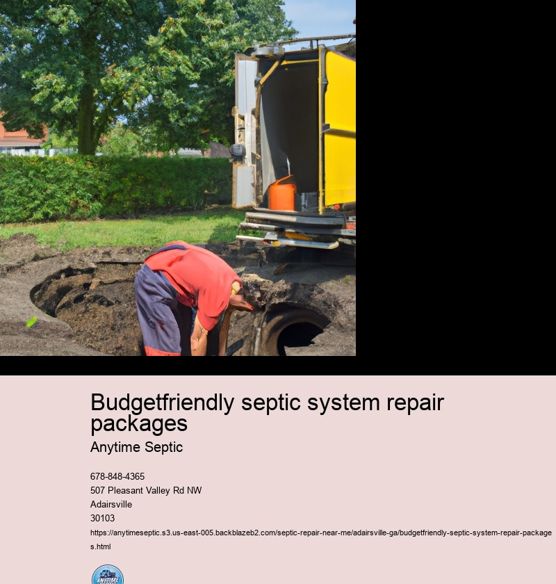 Benefits of choosing a cost-effective septic system repair service