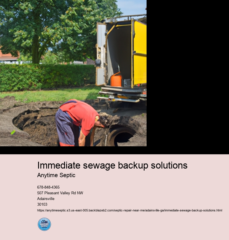 Identify the source of the sewage backup