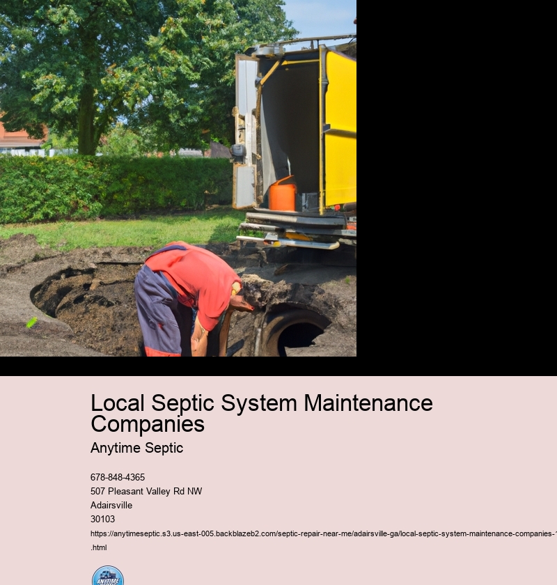 Importance of regular septic system maintenance