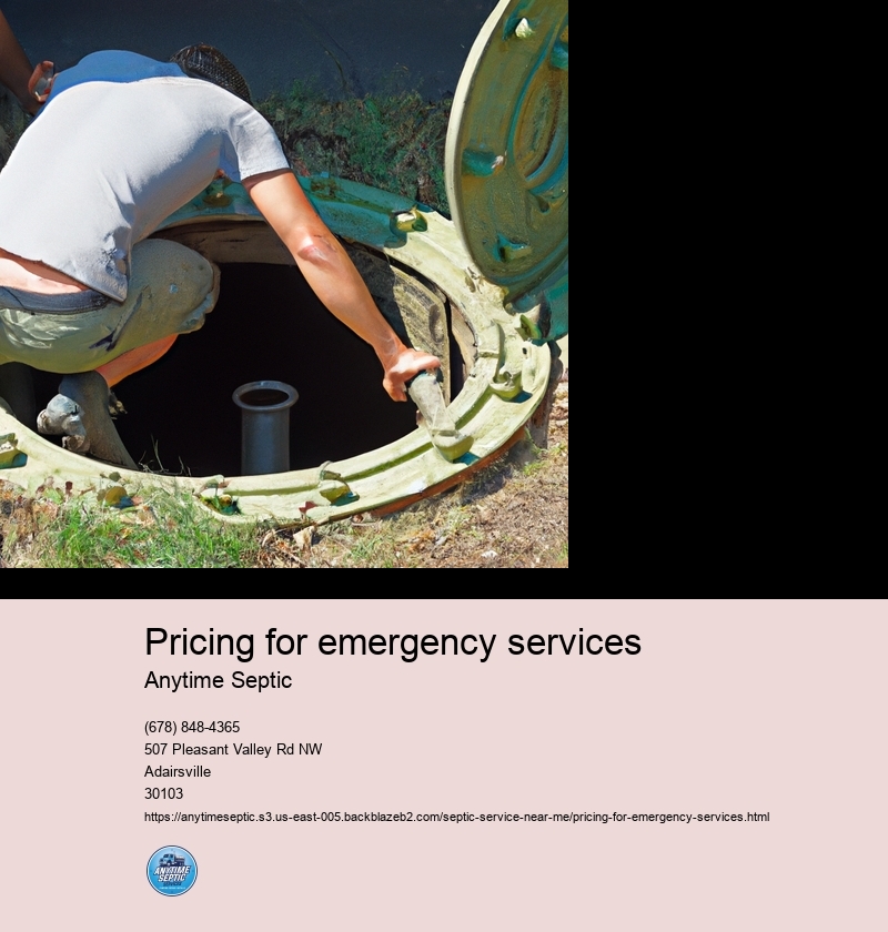 Pricing for emergency services
